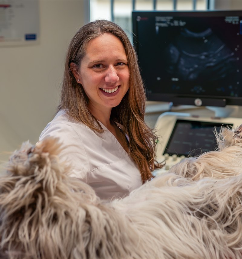 Dr. Dorothee Tscherner